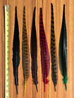 6 Pheasant Tail Feathers, Dyed, Fly Tying Nr