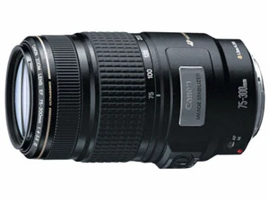 Canon EF Objektiv 75–300 mm f/4–5,6 IS USM Zoom AF - Bild 1 von 7