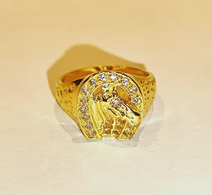 Goldring 14 Karat 585 Gelbgold  Pferd in Brillanthufeisen  Größe 57 - Bild 1 von 14