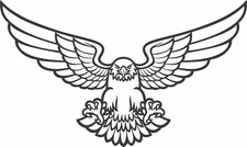 CUSTOM EAGLE IN RIP HOOD DECAL 24/" x 20/"