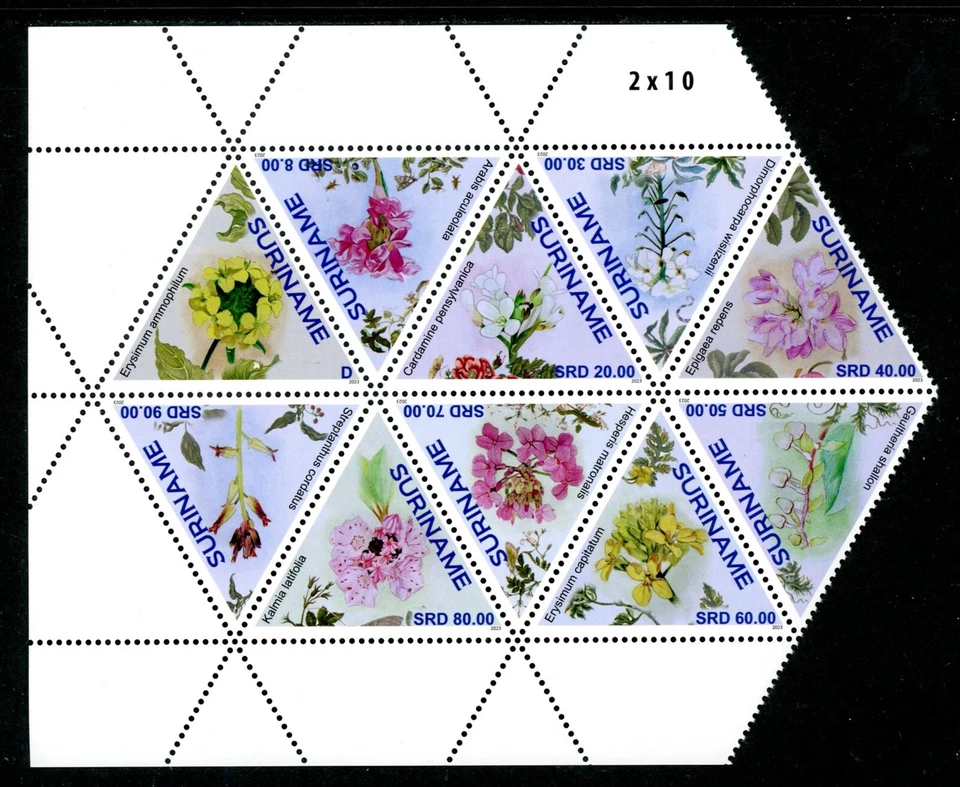 Surinam Scott #1657 MNH BLOQUE flores flora CV $47+ 477832 Foto 1 de 1