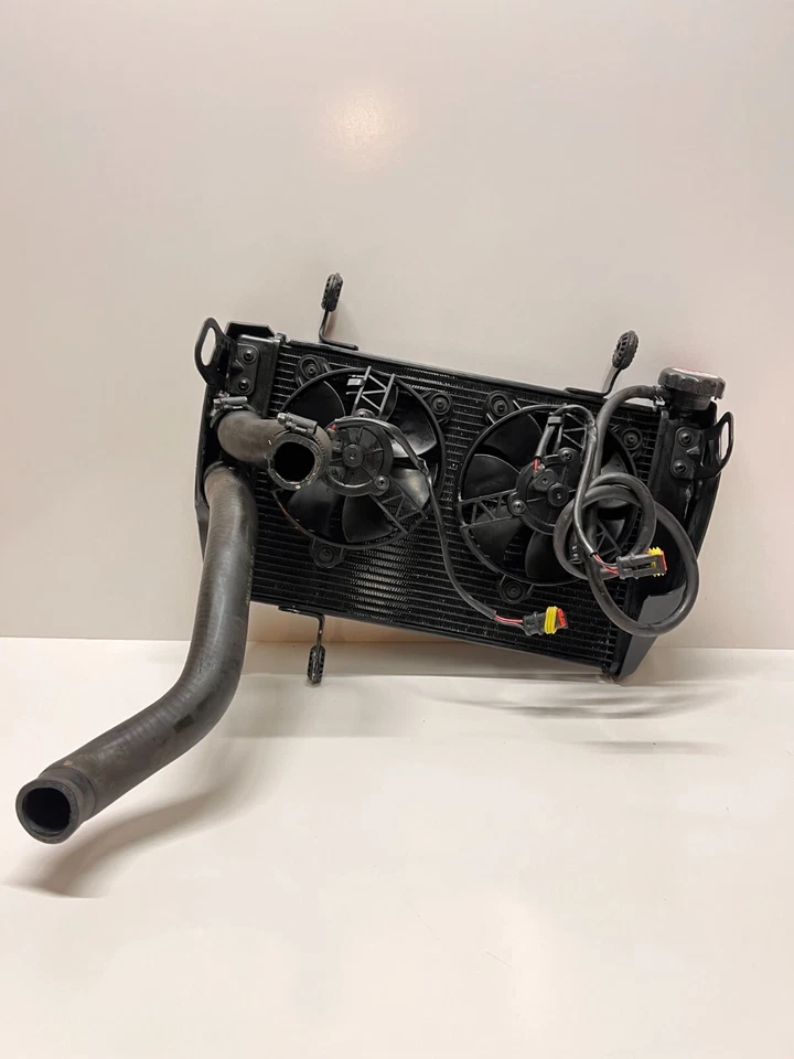 Enfriador de agua refrigerante radiador fabricante original Ducati Hypermotard 821 SP 13-15 54840981D Foto 1 de 4