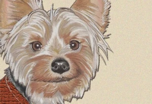 Yorkshire Terrier Small Blank Note Card - Picture 1 of 1