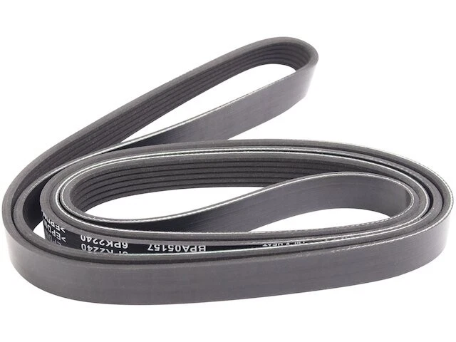 Cinturón multi costilla para Jeep Scrambler 1981-1984 4,2 L 6 cilindros 1982 1983 QP764FH Foto 1 de 1