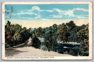 Cincinnati Ohio BURNET WOODS BOULEVARD & LAKE 1920ish Postcard - Picture 1 of 2