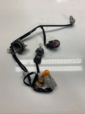 Arnés de cableado para faro halógeno lado derecho para Subaru Outback Legacy Foto 1 de 4