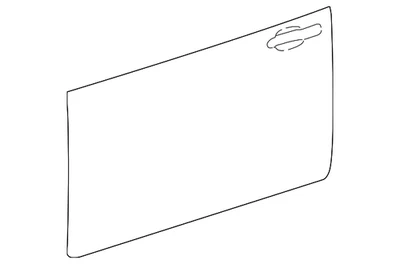 Panel exterior original Ford 4W1Z-5420200-AA Foto 1 de 3