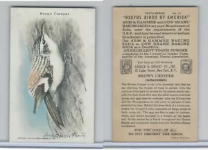 J9-6, Church & Dwight, Useful Birds America 10th Ser., 1925, #10 Brown Creeper - Bild 1 von 1