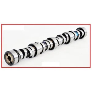Camshaft Chevrolet Gmc 5.7L 6.0L 2007-2015 - Foto 1 di 2