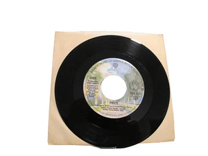 45 RECORD - CHER - PIRATE - Picture 1 of 1