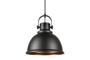 Forte Lighting 7110-01 Black Single Light 12"W Pendant With Metal Shade - Picture 1 of 5