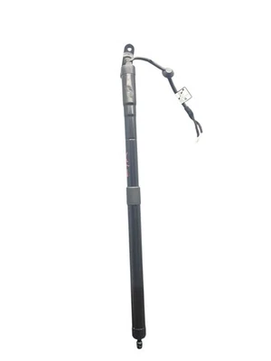 2023-2025 HONDA PILOT OEM MALETERO TRASERO IZQUIERDO PUERTA LEVADIZA SOPORTE ELÉCTRICO PUNTAL Foto 1 de 4