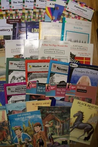 BUILD YOUR OWN BOOK LOT-NOVEL UNIT BOOK GUIDES-YOUR CHOICE OF 1 - Picture 1 of 10