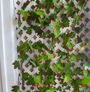 2 pcs (98" each) Autumn Maple Leaf Vines Artificial Ivy Garland Wall Decoration - Picture 1 of 4