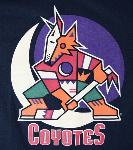 Phoenix Coyotes Vintage Crescent Moon Kachina Logo T-Shirt Sz S c.2000s Fry's Cover