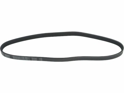 Cinturón multi costilla para Pontiac G5 2007-2010 API 32479KZ 2008 2009 Foto 1 de 2