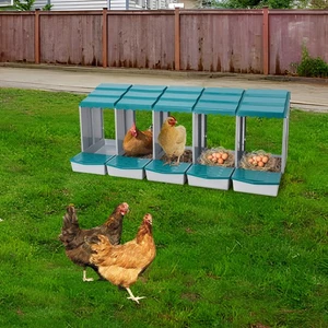 Chicken Laying Box Modern 5-Compartment Chicken Nesting Box with Egg Collection - Picture 1 of 15