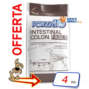Forza10 Perro Activo → Intestinal Colon FASE 1 - 4 kg - Para Perro, Perros - Imagen 1 de 1