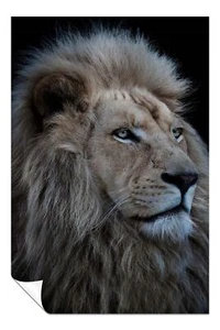 Proud King Lion Portrait Artistic Poster Wall Art Home Decor - Picture 1 of 4