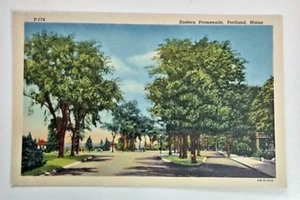 Portland Maine ME Postkarte Eastern Promenade Street View Trees Park - Bild 1 von 10