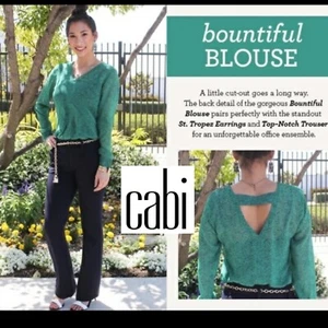 CAbi Bountiful Long-Sleeve Top Size XS Green Blue Sheer V-neck Style # 5208 - Picture 1 of 10