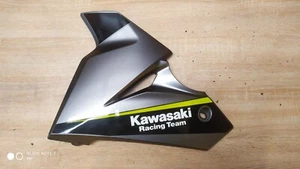 Carenado lateral izquierdo Kawasaki Ninja 125 2019 55028-0482 - Imagen 1 de 7