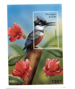 Nicaragua 1999 - Wood Pecker - Bird  - Souvenir Stamp Sheet  - Scott #2268 - MNH
