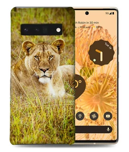 CASE COVER FOR GOOGLE PIXEL|AFRICAN LION RESTING ANIMAL - Foto 1 di 11