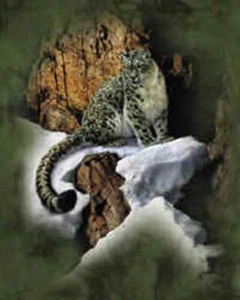 Snow Leopard NEW t-shirt L, M, S, XS youth The Mountain vintage leather label - Picture 1 of 2