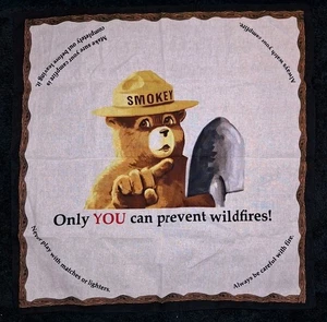 Vintage 1990 Smokey Bear Only You Can Prevent Waldbrände Bandana Taschentuch selten - Bild 1 von 7