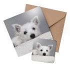 1 x Greeting Card & Coaster Set - West Highland Terrier Puppy Dog #12768