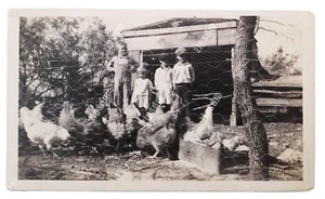 c1920s foto bambini con longhorns & buff orpingtons polli - San Antonio, Texas - Foto 1 di 3