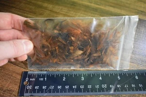 2 Gramm DUNKELBRAUNE CDC Federn zum Fliegenbinden, nicht sortiert - Bild 1 von 4