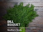 Dill, Bouquet - 100 Seeds - Culinary Herb - Heirloom - Nongmo