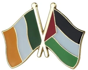 Spilla Amicizia Irlanda Palestina Bandiera Nazionale Palestinese Bandiere Incrociate - Foto 1 di 2