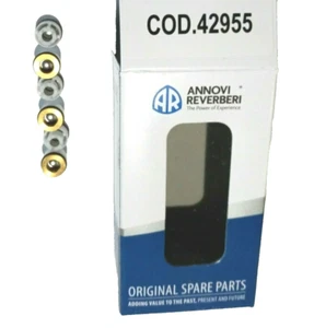 Annovi Reverberi AR 42955 OEM Pump Valve Kit RQW , RQV Model Pumps - Picture 1 of 3