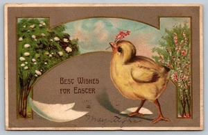 Vintage 1908 Easter Postcard with Embossed Chick & Flowers - Picture 1 of 2