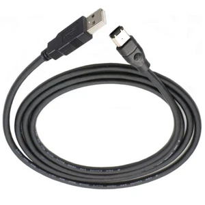 Firewire IEEE 1394 6-pinowy męski na USB 2.0 A męski adapter konwerter kabel do DV - Zdjęcie 1 z 6