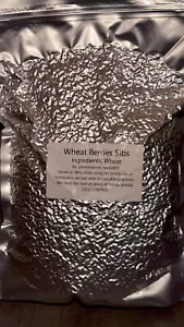 5 lbs. Hard Red Spring Wheat Berries - Family Farmed, Single Source - Picture 1 of 4