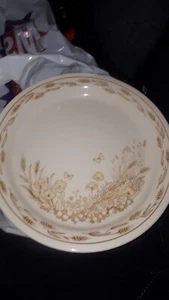 1 x English Ironstone Pictorial Design dinner Plate - Lovely - Picture 1 of 2