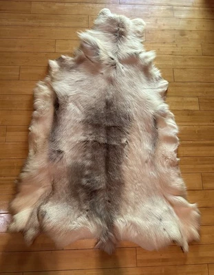 Hermosa alfombra de taxidermia de piel de reno Foto 1 de 4