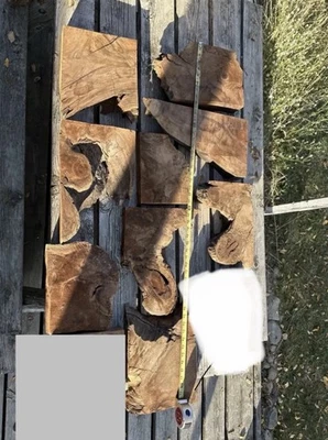 LOTE de 10 piezas epoxi Claro Walnut Burl Live Edge #02 Foto 1 de 4