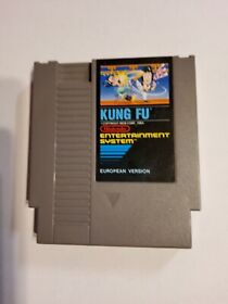 Kung Fu  Nintendo Entertainment System NES 