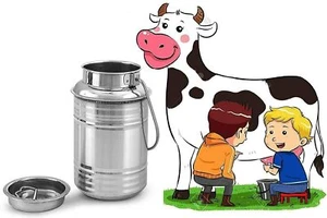 Stainless Steel Can Milk Container Bucket Gallon Milker 5 liter Milk Can  - Picture 1 of 3