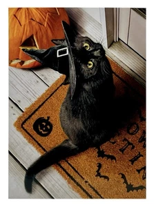 Halloween Karte, schwarze Katze im Hexenhut, Avanti Grußkarte NEU - Bild 1 von 7