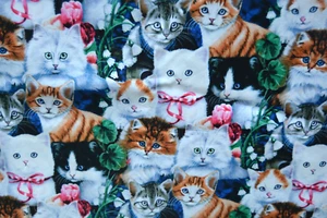 1 yard of kitty cats cotton fabric - Picture 1 of 2