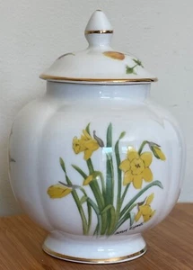 GLYN-COCH DESIGNS - Tenby Daffodils - Lidded Preserve Pot - Jean Evans - 4.5" - Picture 1 of 4