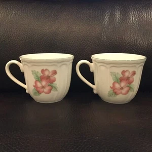 2 -EPOCH collection by Noritake coffee mugs grapes/flowers/leaves pre-owned. - Picture 1 of 9