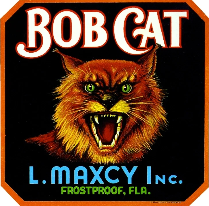 Caja de frutas cítricas naranja gato Bob Florida a prueba de heladas etiqueta impresión artística Foto 1 de 1