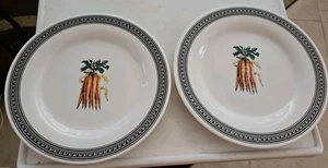 (2) Pfaltzgraff Farmer's Market 11 1/8" Dinner Plates VGC BUNCHES OF CARROTS - Bild 1 von 7